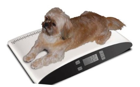 Digital Pet Scale Cat Scale Food Weight Mini Scale LCD Electronic Scales  for Dog