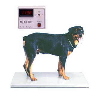 60 lb Veterinary Animal Scale